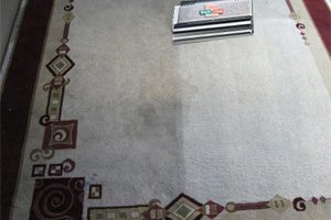 Area Rug Cleaning Services by KleenDry Carpet Cleaning in Lancaster SC