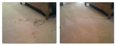 KleenDry Carpet Cleaning in Lancaster SC