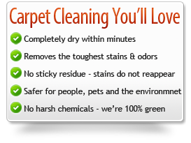 dry organic carpet cleaning benefits - Lancaster, CC