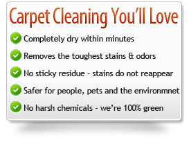 Safe-Dry Carpet Cleaning